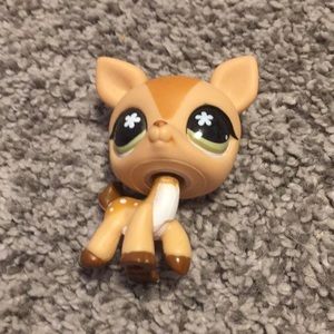 Littlest pet shop